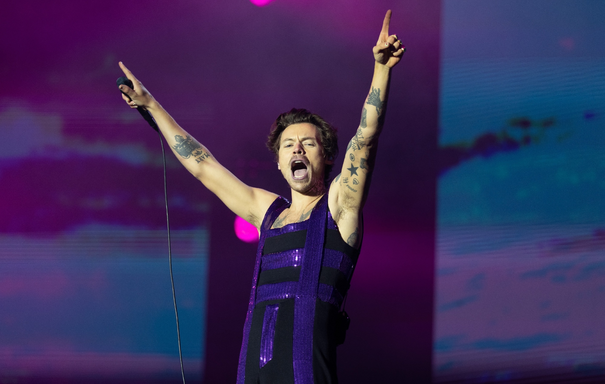 Audience at a Harry Styles concert